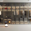 Custom Aluminum Frame Glass LED Wardrobe